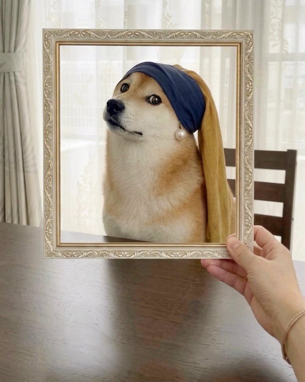 Momo propaganda — momo lisa